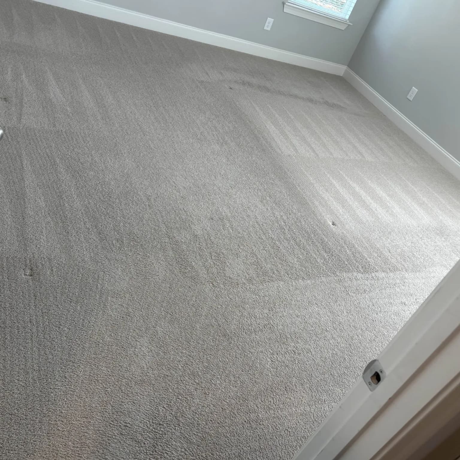 Carpet Cleaning